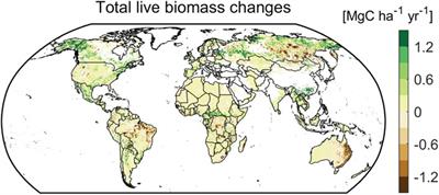 Global carbon balance of the forest: satellite-based L-VOD results over the last decade